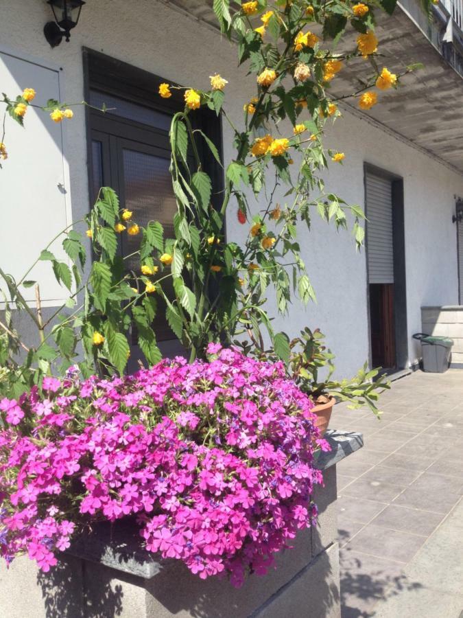 La Magnolia Lejlighed Riccò del Golfo di Spezia Eksteriør billede