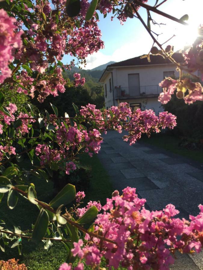 La Magnolia Lejlighed Riccò del Golfo di Spezia Eksteriør billede